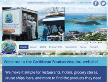 Tablet Screenshot of foodservicevi.com